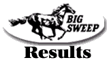 Click Here for Bigsweep Results